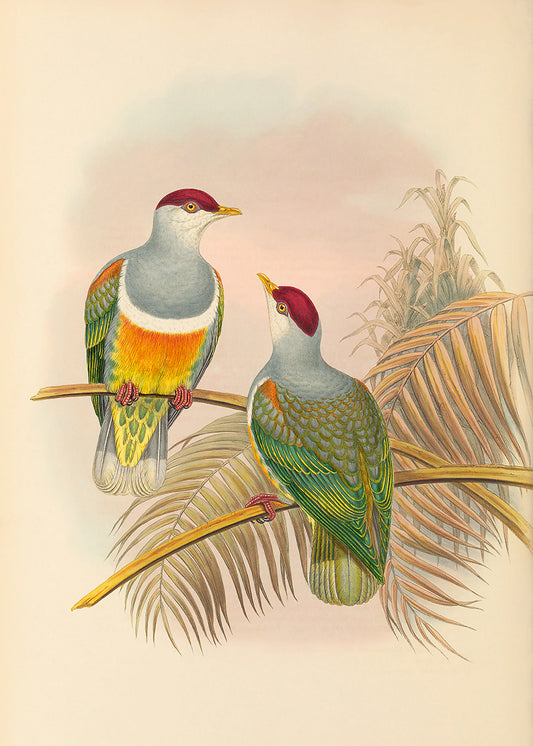 Green Bird 5