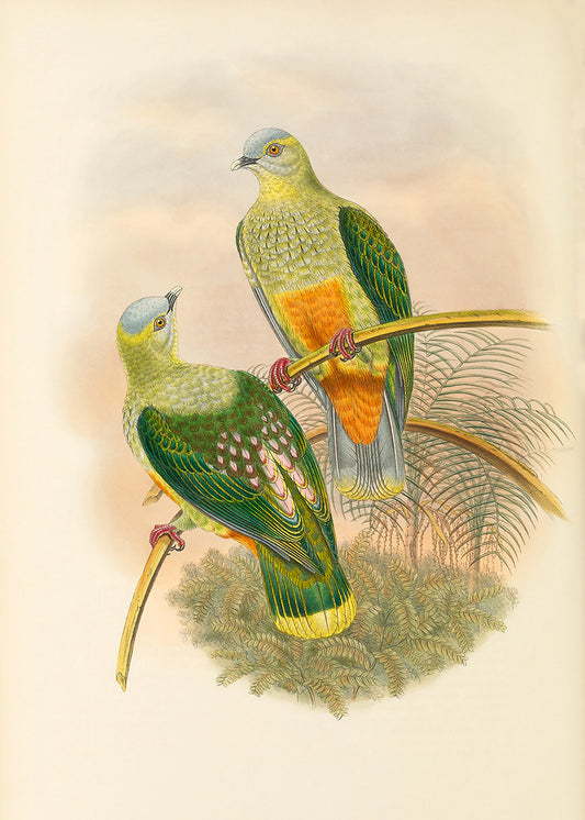 Green Bird 6