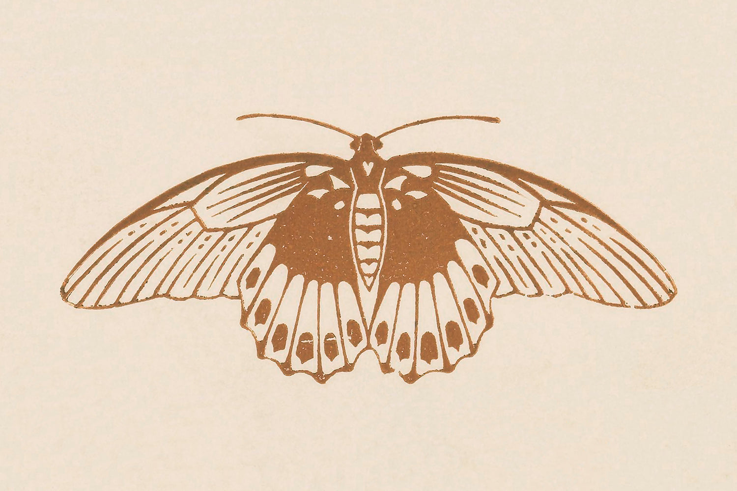 A woodblock print of a stylised butterfly.