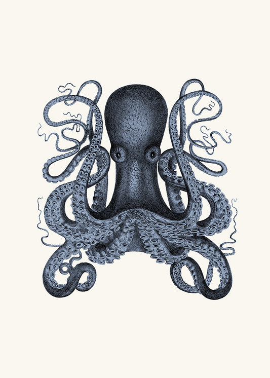 Blue Octopus 1