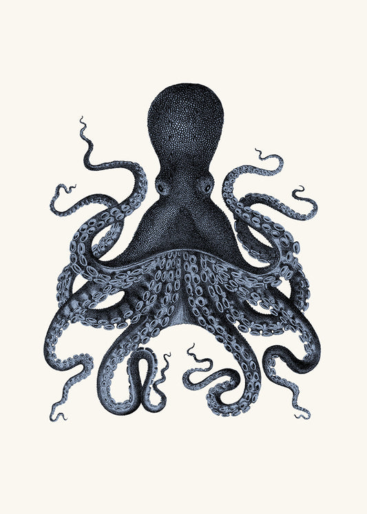 Blue Octopus 2