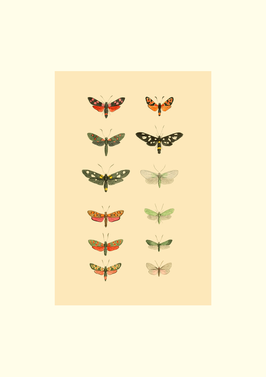 A colourful butterfly study. Part of a pair.

&nbsp;Featuring pink, cream, apricot, green, black, blue, blush and orange.
A museum-quality fine art print with a lightly textured, matt finish, using giclée printing techniques that won't fade.