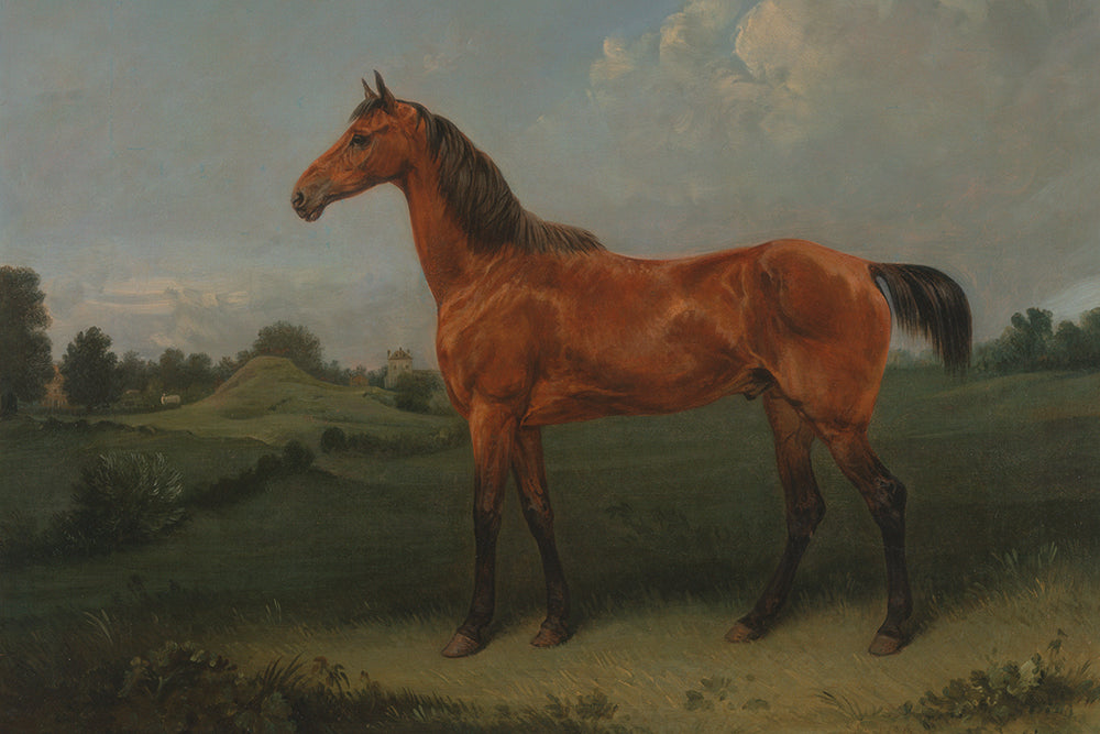 Capture the quiet beauty of the countryside with this evocative print of a rich brown horse set against open fields. The subtle vintage finish creates an inviting aesthetic that complements both traditional and contemporary interiors, infusing your space with understated warmth and character.

Featuring blue, green, brown, ivory, black and tan.
A museum-quality fine art print with a lightly textured, matt finish, using giclée printing techniques that won't fade.
