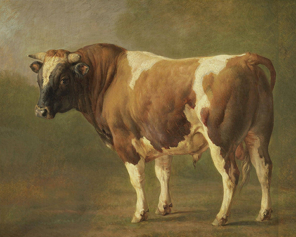 A dark and moody, vintage painting of a Bull.