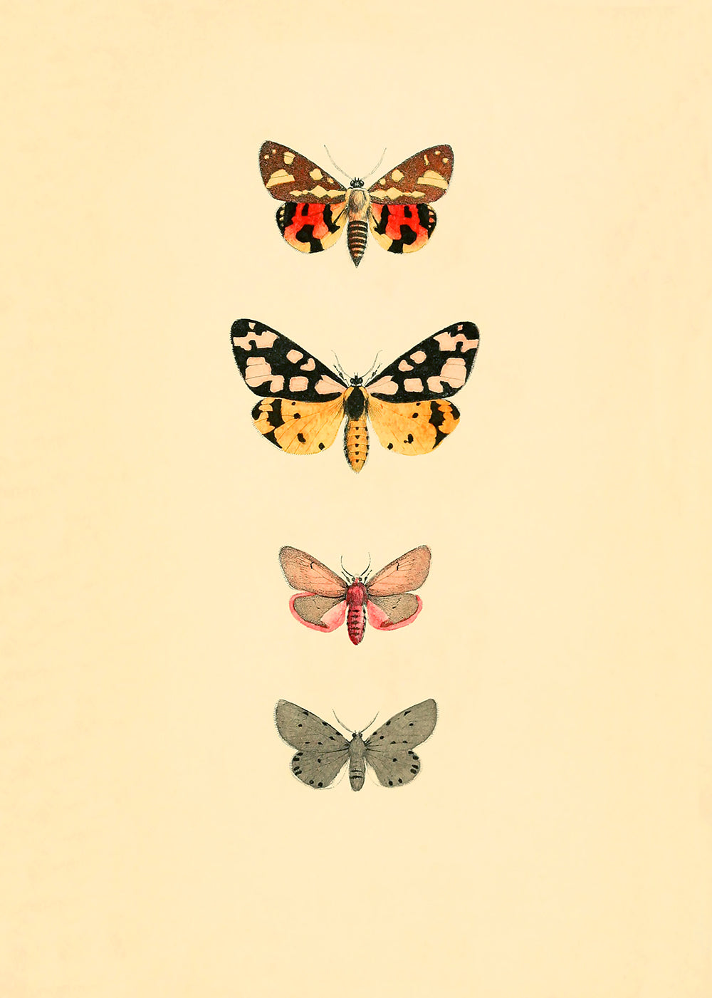 Vintage butterflies, part of a pair.  Featuring red, brown, black, yellow, grey, pink, rust, blush and vintage cream.