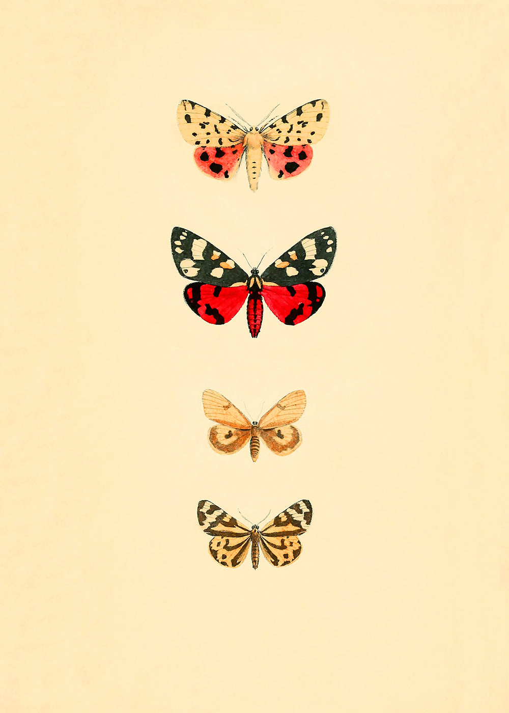 Vintage butterflies, part of a pair.  Featuring red, brown, black, yellow, grey, pink, rust, blush and vintage cream.