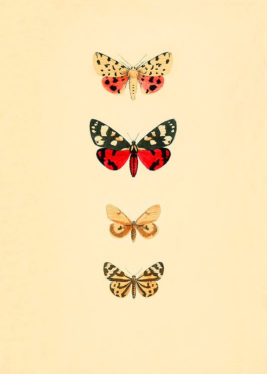 Vintage butterflies, part of a pair.  Featuring red, brown, black, yellow, grey, pink, rust, blush and vintage cream.