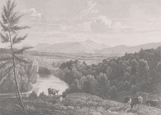 Step into the captivating world of the Catskill Mountains with this must-have vintage mural.&nbsp;The foreground features grazing livestock, while the river and surrounding forest provide a beautiful backdrop to the Mountains. Available in 3 colour ways.

Featuring shades of soft grey.

Available in 'Premium Peel and Stick' or 'Paste the Wall' finishes.