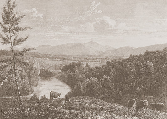 Step into the captivating world of the Catskill Mountains with this must-have vintage mural.&nbsp;The foreground features grazing livestock, while the river and surrounding forest provide a beautiful backdrop to the Mountains. Available in 3 colour ways.

Featuring shades of soft caramel and brown.

Available in 'Premium Peel and Stick' or 'Paste the Wall' finishes.