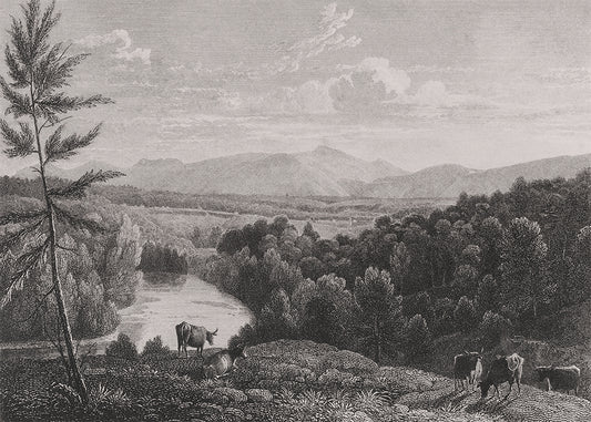 Step into the captivating world of the Catskill Mountains with this must-have vintage mural.&nbsp;The foreground features grazing livestock, while the river and surrounding forest provide a beautiful backdrop to the Mountains. Available in 3 colour ways.

Featuring shades of grey.