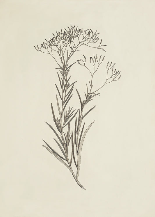 Creamy Foliage 3