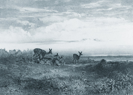 This exquisite wall mural showcases serene deer in a meadow, captured in a whimsical delicate pencil technique. Its playful charm makes it perfect for a child's bedroom.

Featuring tints and shades of blue.