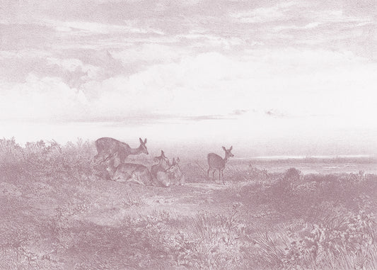 This exquisite wall mural showcases serene deer in a meadow, captured in a whimsical delicate pencil technique. Its playful charm makes it perfect for a child's bedroom.

Featuring soft washed out pinks
