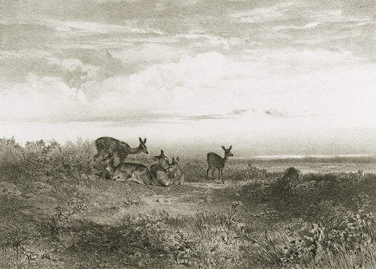 This exquisite wall mural showcases serene deer in a meadow, captured in a whimsical delicate pencil technique. Its playful charm makes it perfect for a child's bedroom.

Available in 5 colour ways.

Featuring shades of greige and ivory.