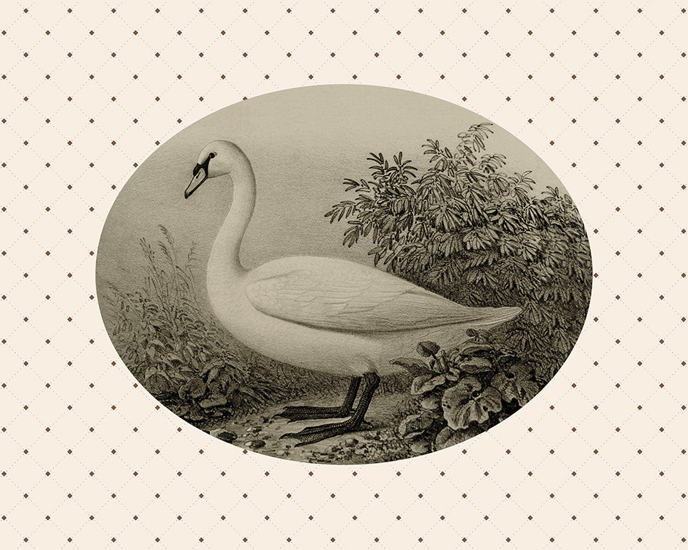 A sweet oval framed vintage print of a Sepia toned Cygnet by a pond, set upon a diamond pattern background. Part of a pair.

Featuring cream, brown and black.
A museum-quality fine art print with a lightly textured, matt finish, using giclée printing techniques that won't fade.