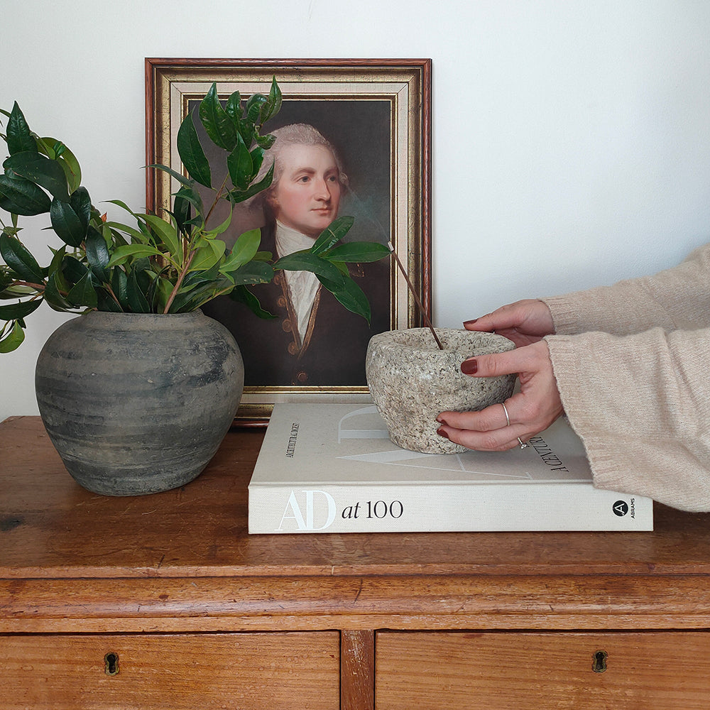 Person holding a stone object on a book with a plant and portrait in the background