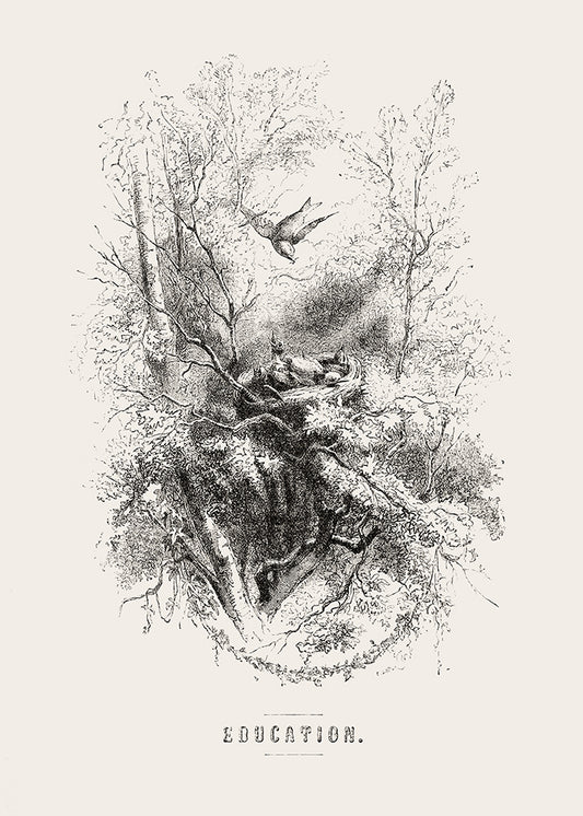 A whimsical lithograph of a bird feeding its baby birds. Part of a series of prints.

Featuring black and vintage cream.
A museum-quality fine art print with a lightly textured, matt finish, using giclée printing techniques that won't fade.