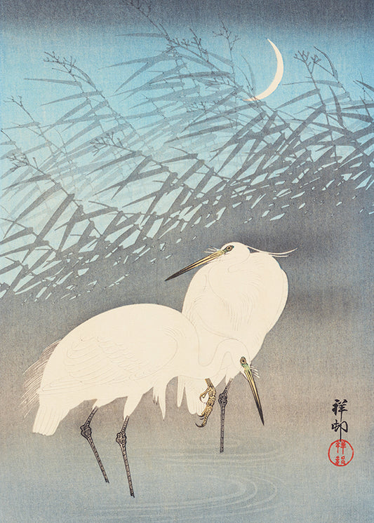 Japanese Egret 2