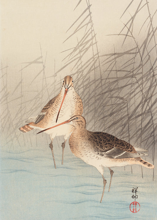 Japanese Egret 3