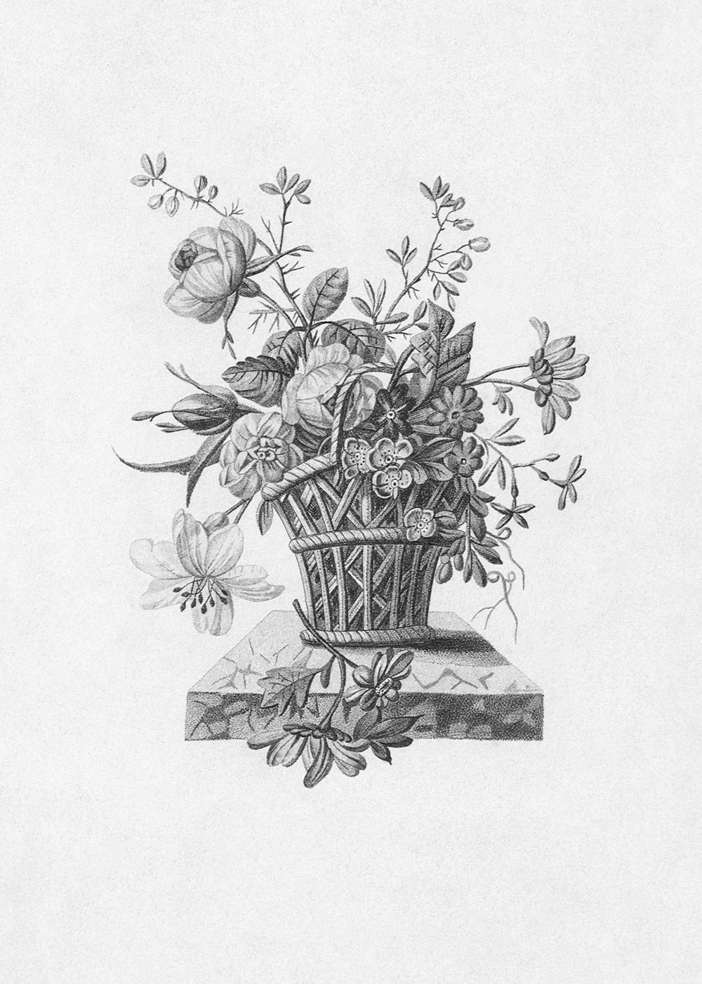 An 18th century black and white lithograph of a vase of flowers.