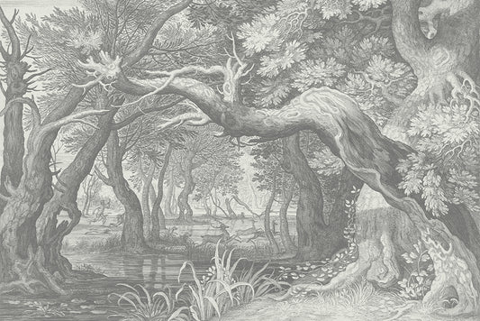 Forest Nymph