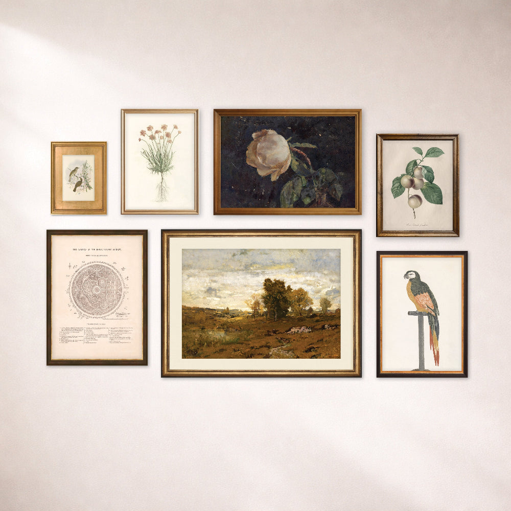 Collection of framed artworks on a wall