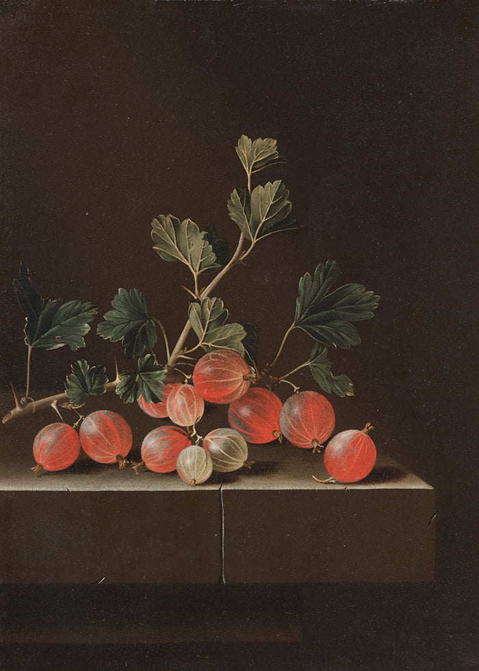 A dark and moody vintage painting of red gooseberries on a kitchen bench set against a dark brown backdrop.