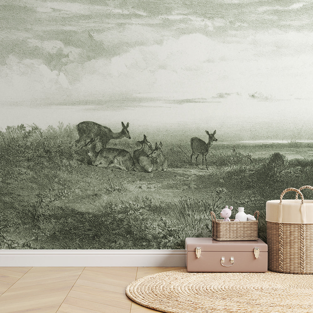Deer – Sage
