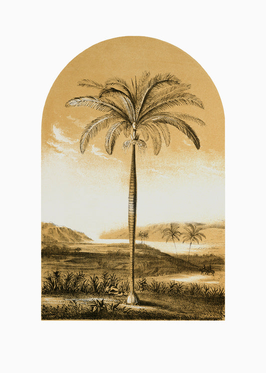 Middle Eastern Palm