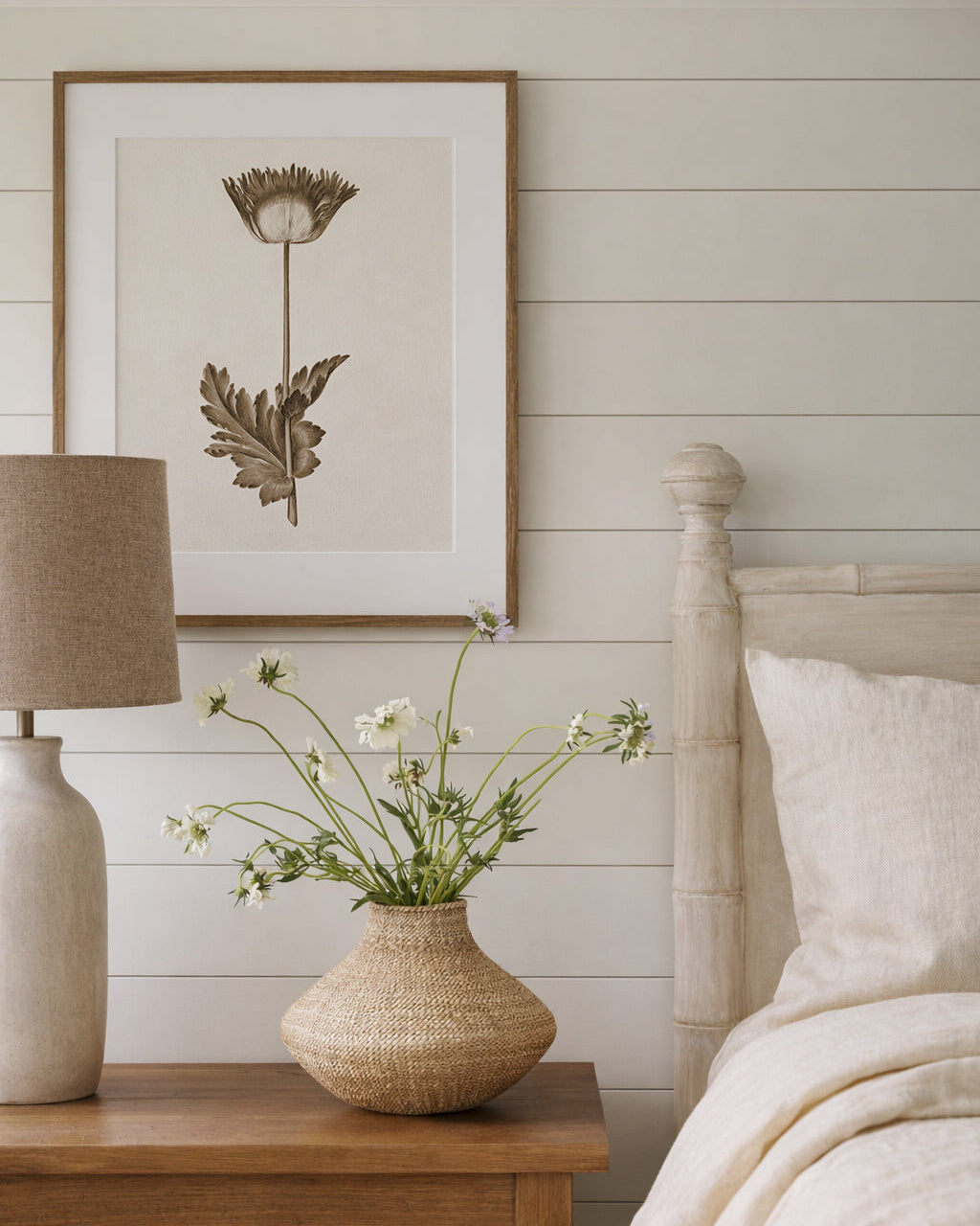 Vintage flower in a frame by a calm neutral beachy interior.