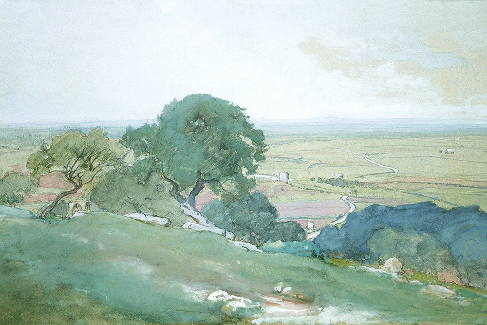 A vintage painting of olive trees sitting above a valley.