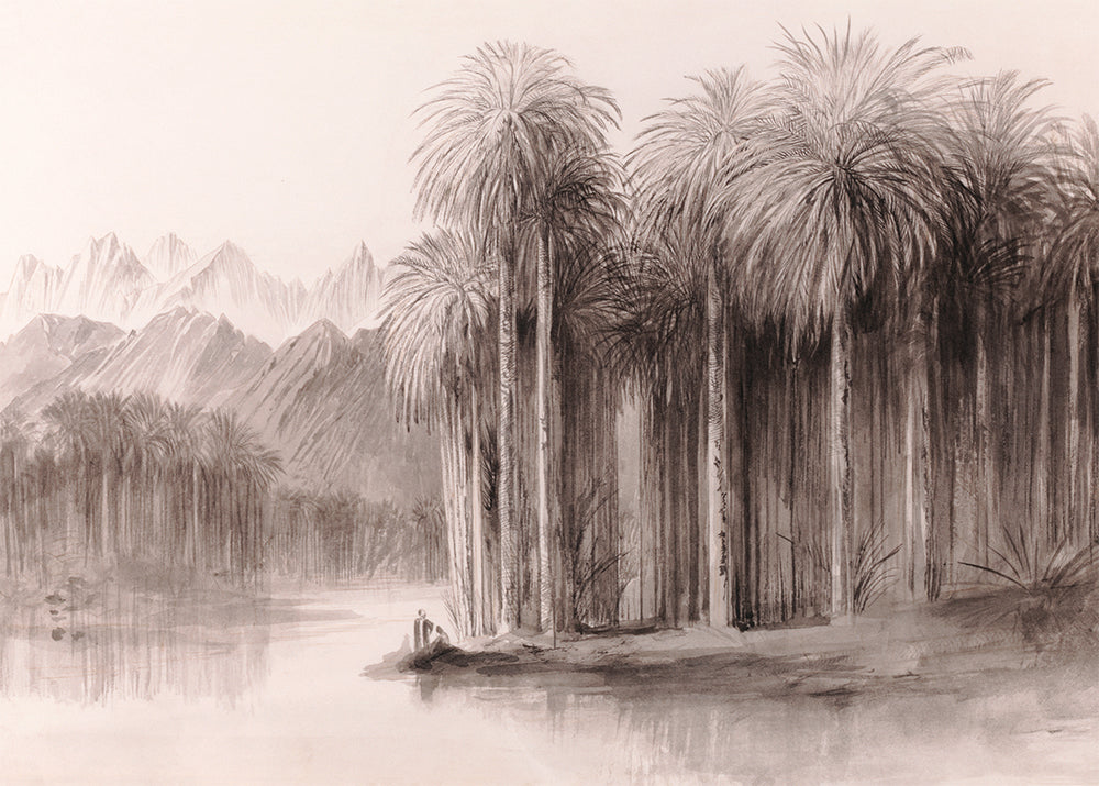 Palm Grove – Blush
