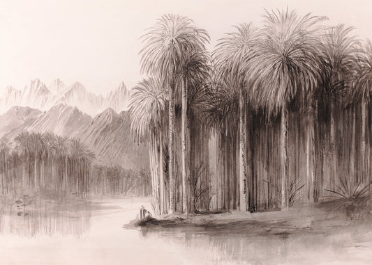 Palm Grove – Blush