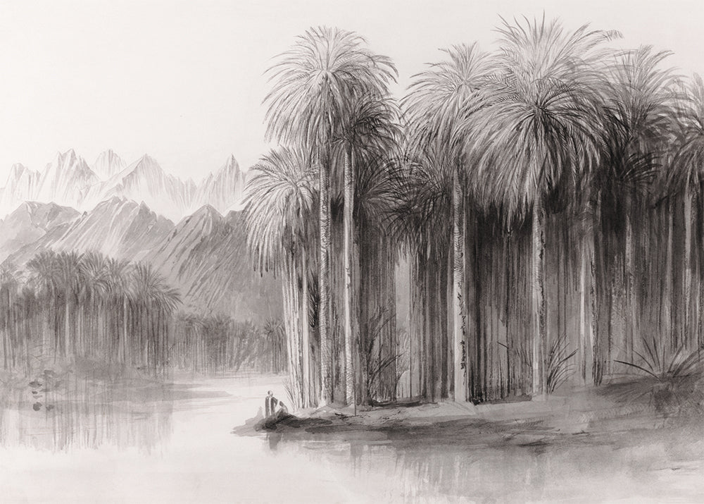 Palm Grove – Grey