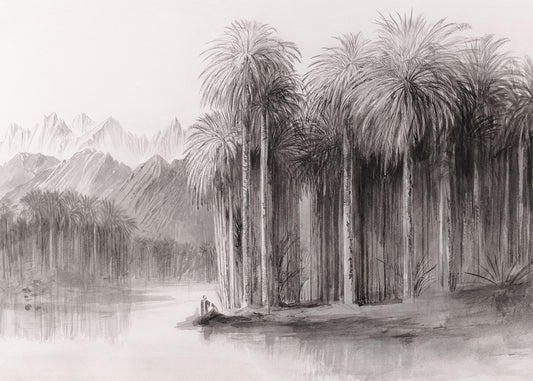 Palm Grove – Grey