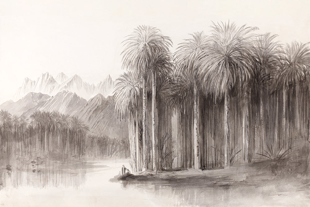 Pencil drawing of a landscape with palm trees and mountains.