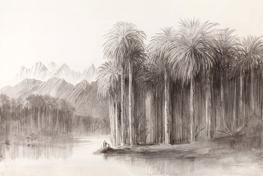 Pencil drawing of a landscape with palm trees and mountains.