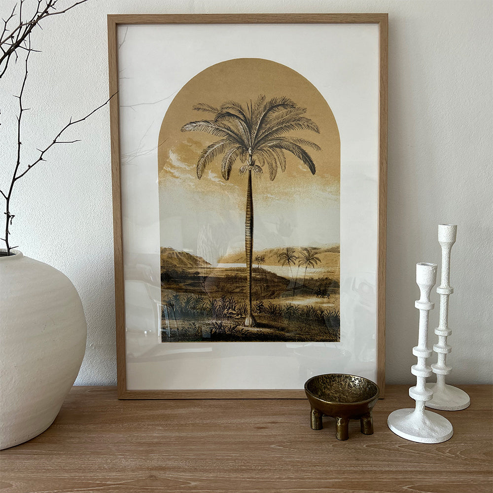 Middle Eastern Palm