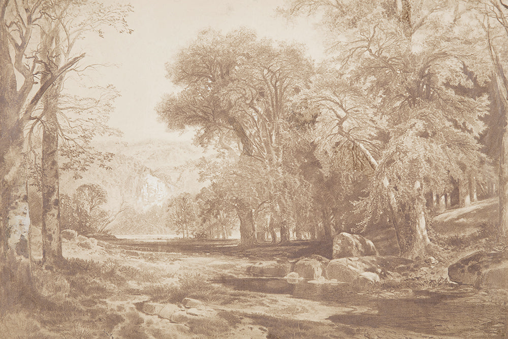 Earthen Parklands