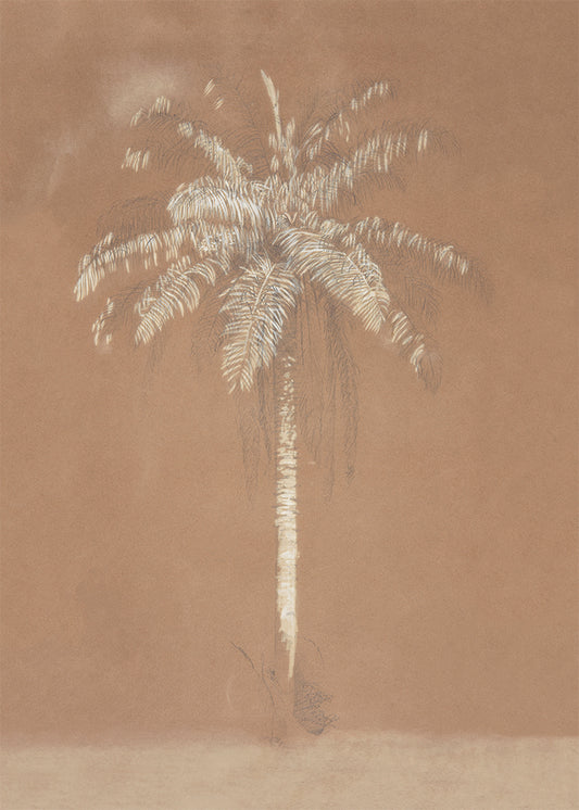 Patina Palm
