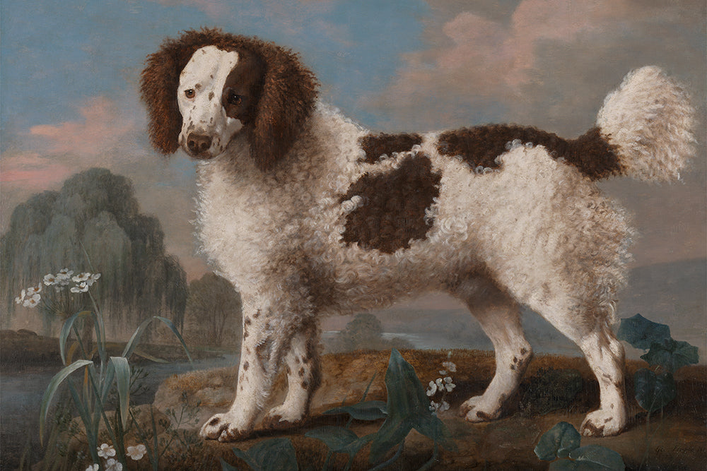 A vintage painting of a spotted dog.

Featuring brown, ivory, blue, green, grey, blush and black.
A museum-quality fine art print with a lightly textured, matt finish, using giclée printing techniques that won't fade.