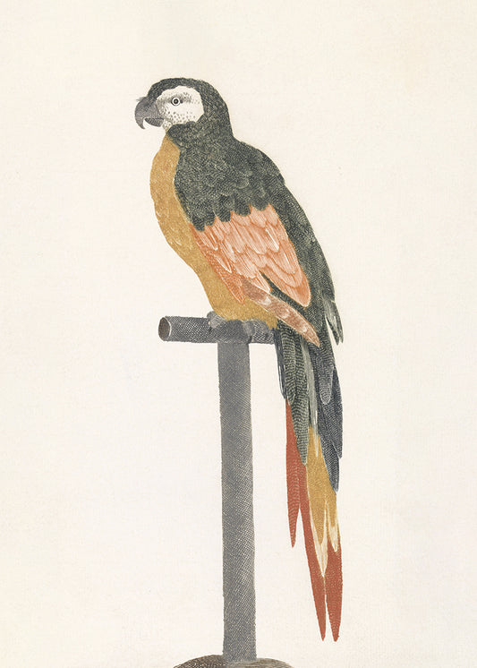 An etching of a bird on a stand.