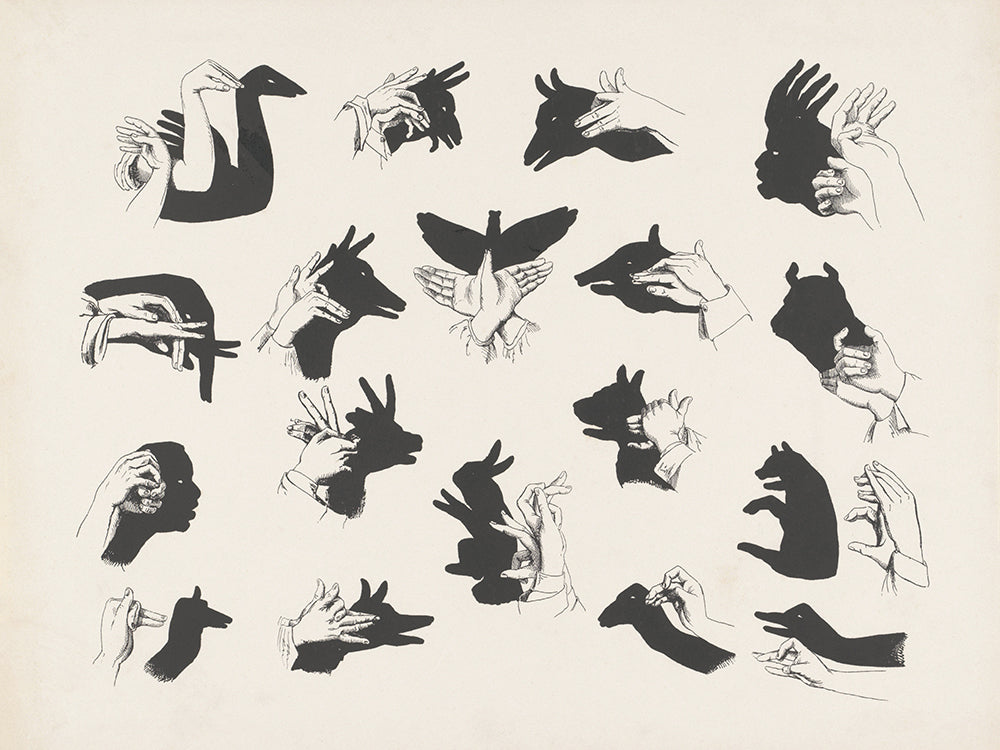 A vintage Shadow Puppet manual.