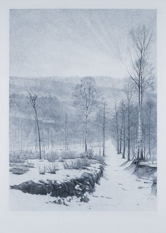 Snowy Cyanotype