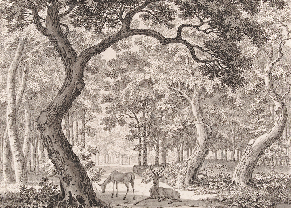 Add wonder and whimsy with this magical mural featuring a serene forest scene of a stag and its partner. Available in 4 colour ways.

Featuring shades of warm grey.

Available in 'Premium Peel and Stick' or 'Paste the Wall' finishes.

QUALITY ASSURANCE:&nbsp;A digital mock-up of your mural will be sent via email in your chosen measurements for your approval before printing and shipping. This guarantees your order will be exactly to your liking.