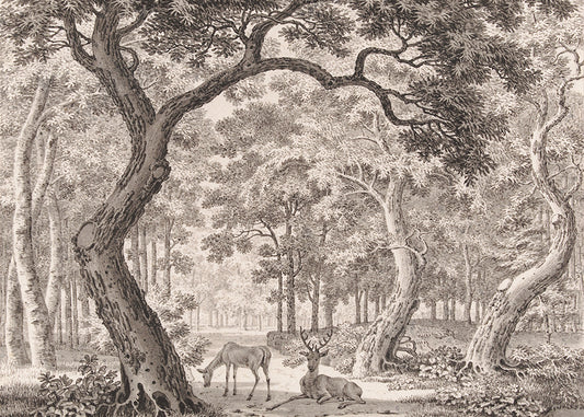 Add wonder and whimsy with this magical mural featuring a serene forest scene of a stag and its partner. Available in 4 colour ways.

Featuring shades of warm grey.

Available in 'Premium Peel and Stick' or 'Paste the Wall' finishes.

QUALITY ASSURANCE:&nbsp;A digital mock-up of your mural will be sent via email in your chosen measurements for your approval before printing and shipping. This guarantees your order will be exactly to your liking.