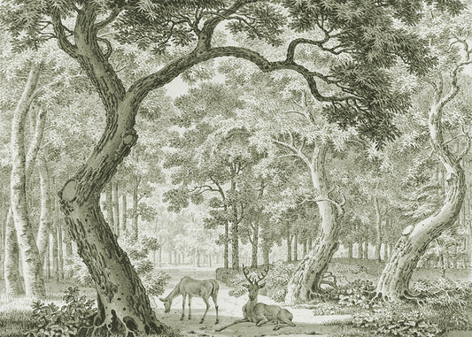 Add wonder and whimsy with this magical mural featuring a serene forest scene of a stag and its partner. Available in 4 colour ways.

Featuring tints and shades of sage green.

Available in 'Premium Peel and Stick' or 'Paste the Wall' finishes.

QUALITY ASSURANCE:&nbsp;A digital mock-up of your mural will be sent via email in your chosen measurements for your approval before printing and shipping. This guarantees your order will be exactly to your liking.