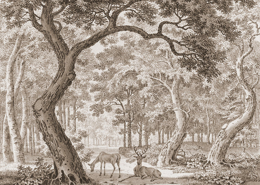 Add wonder and whimsy with this magical watercolour mural featuring a serene forest scene of a stag and its partner. Available in 4 colour ways.

Featuring warm shades of caramel, sepia and chocolate brown.

Available in 'Premium Peel and Stick' or 'Paste the Wall' finishes.

QUALITY ASSURANCE:&nbsp;A digital mock-up of your mural will be sent via email in your chosen measurements for your approval before printing and shipping. This guarantees your order will be exactly to your liking.