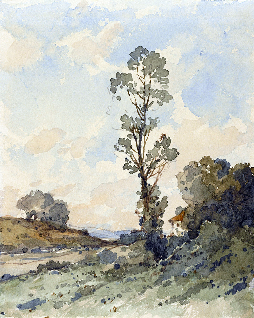 A portrait watercolour painting of a tall tree in the countryside.