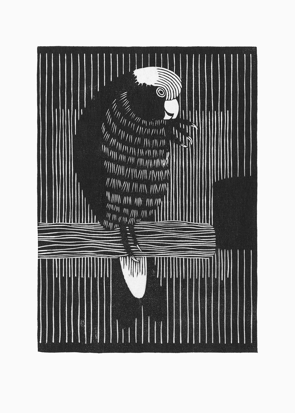 A bold black and white etching of a Parakeet on a perch.